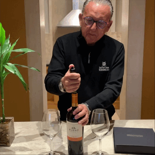 Winepopper Aluminum | Automatic Gas Corkscrew